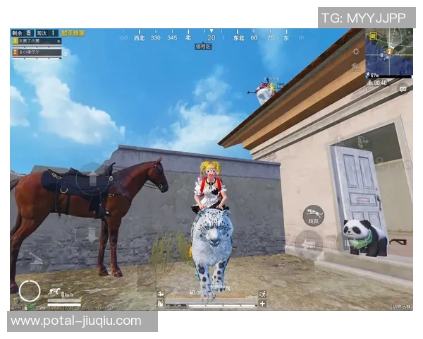 和平精英热点分析：深入探讨BLG战队的战术转型与未来发展方向